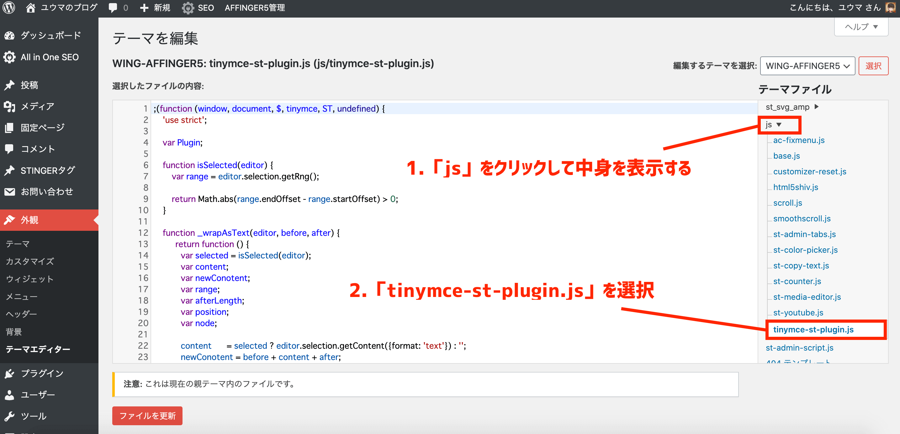 テーマファイル「tinymce-st-plugin.js」を選択